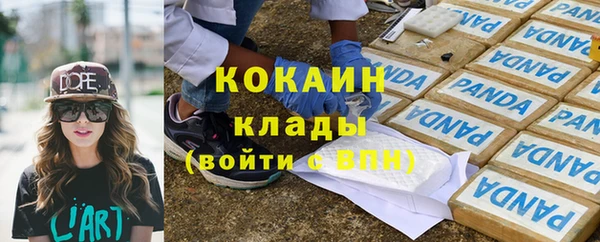 дживик Белокуриха