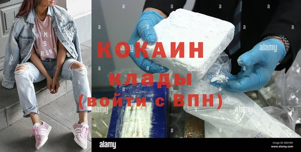 дживик Белокуриха