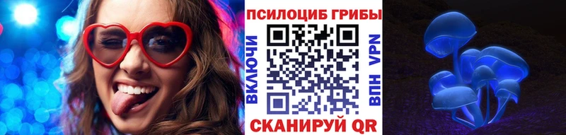 как найти   Ногинск  Псилоцибиновые грибы Psilocybine cubensis 