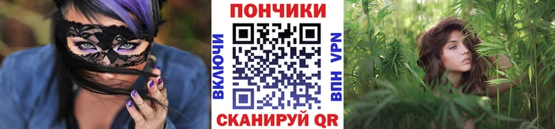 где купить   Ногинск  Бошки марихуана гибрид 